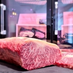 12kg - Wagyu mélange de viande 